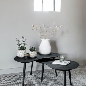 Salontafel set van 2 Organus zwart