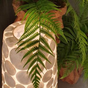 Vloerlamp Coin White - Apollo - Schelpenlamp 150 cm