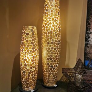 Turtle lamp